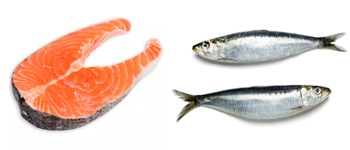 sardinha e salmão crus para gatos