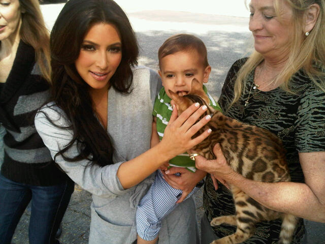 Kourtney Kardashian com seu gato Bengal