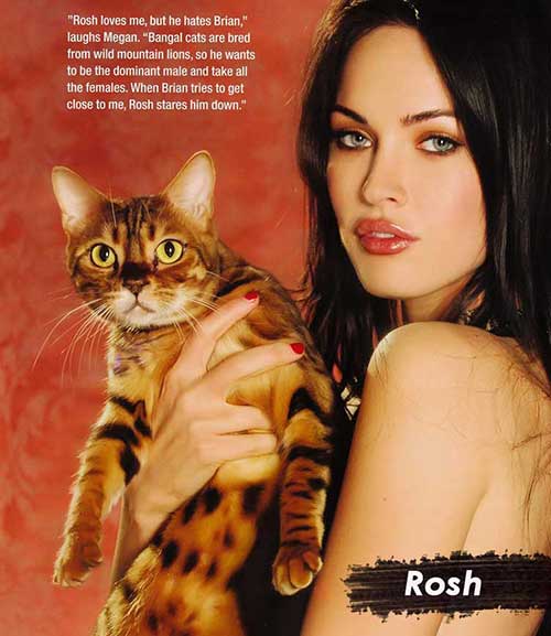 Megan Fox com seu gato Bengal