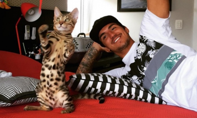 O surfista profissional Gabriel Medina com seu gato Bengal Tyson