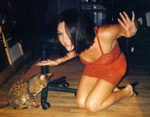 Victoria Beckham com seu gato Bengal